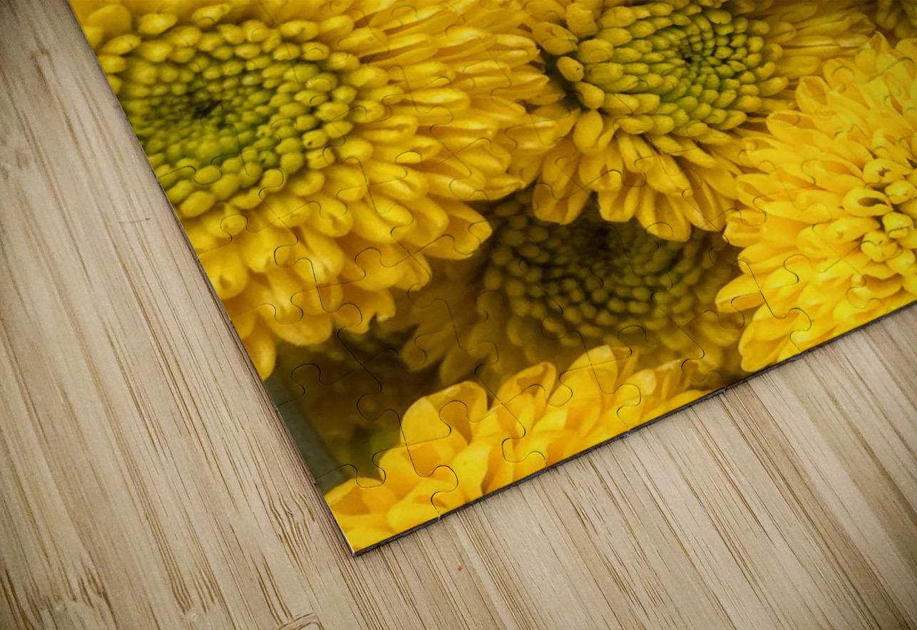 V1092 Natalie Stanislavsky Puzzle