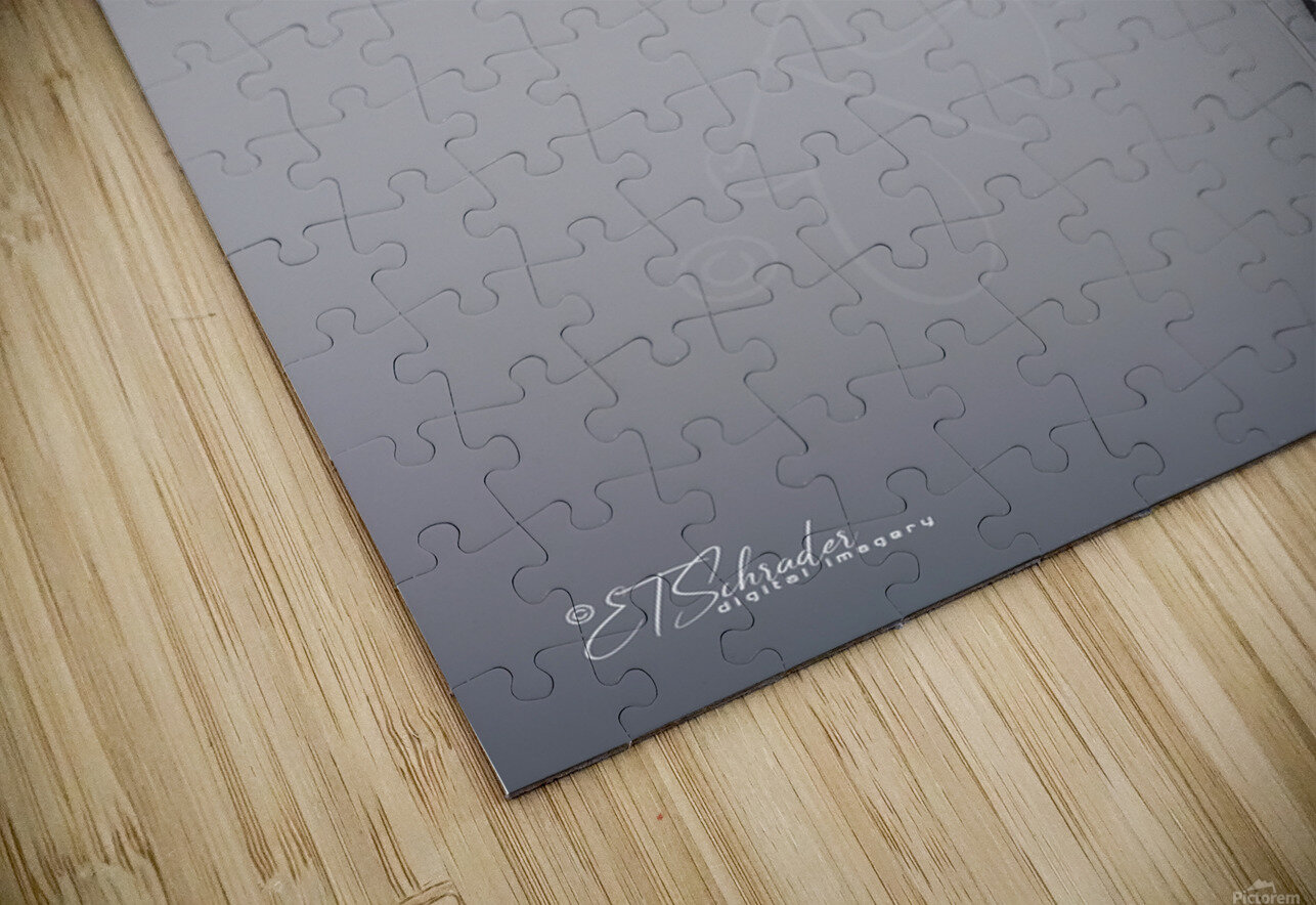 Solitary Maritime Sentinel ETSchrader Puzzle