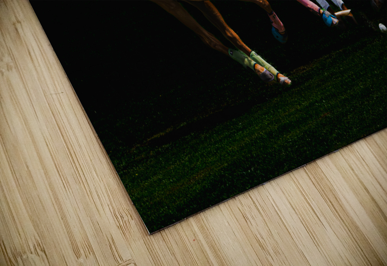 BZ9 1444 Enhanced NR Susan Lynn Cooke Puzzle