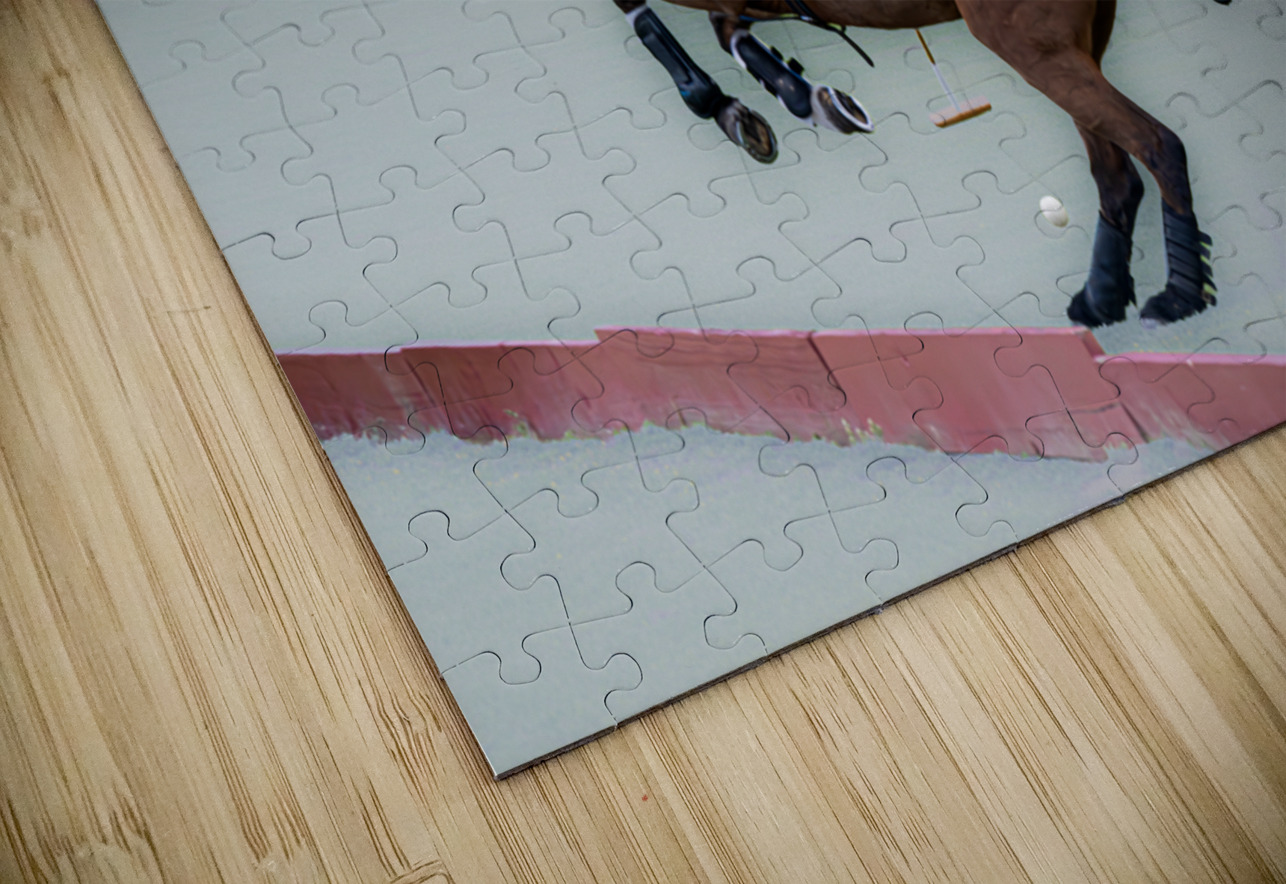 BZ9 4651 Enhanced NR Susan Lynn Cooke Puzzle