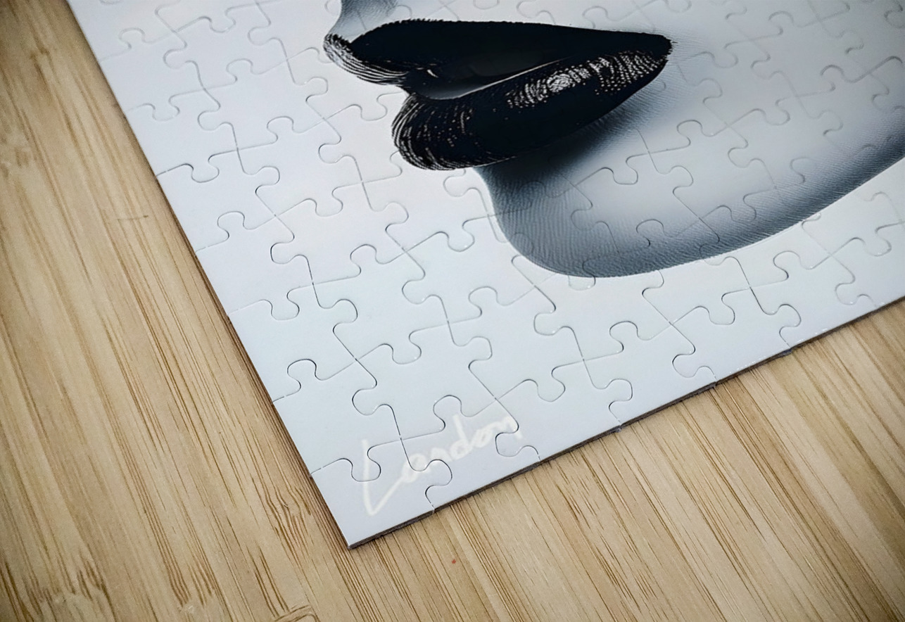 Minimlistic Lady 1 Landon Puzzle