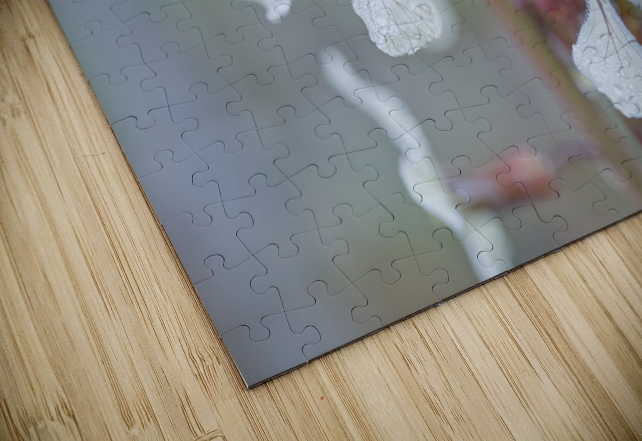 Arugula Flower Duo with Raindrops Iris H Richardson Puzzle