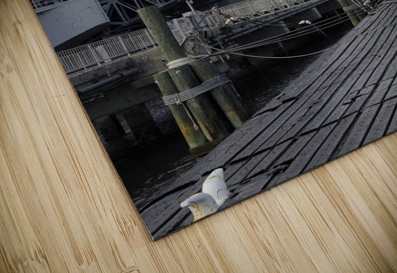 Family Photos 01 1575 Elizabeth Lima Images Puzzle