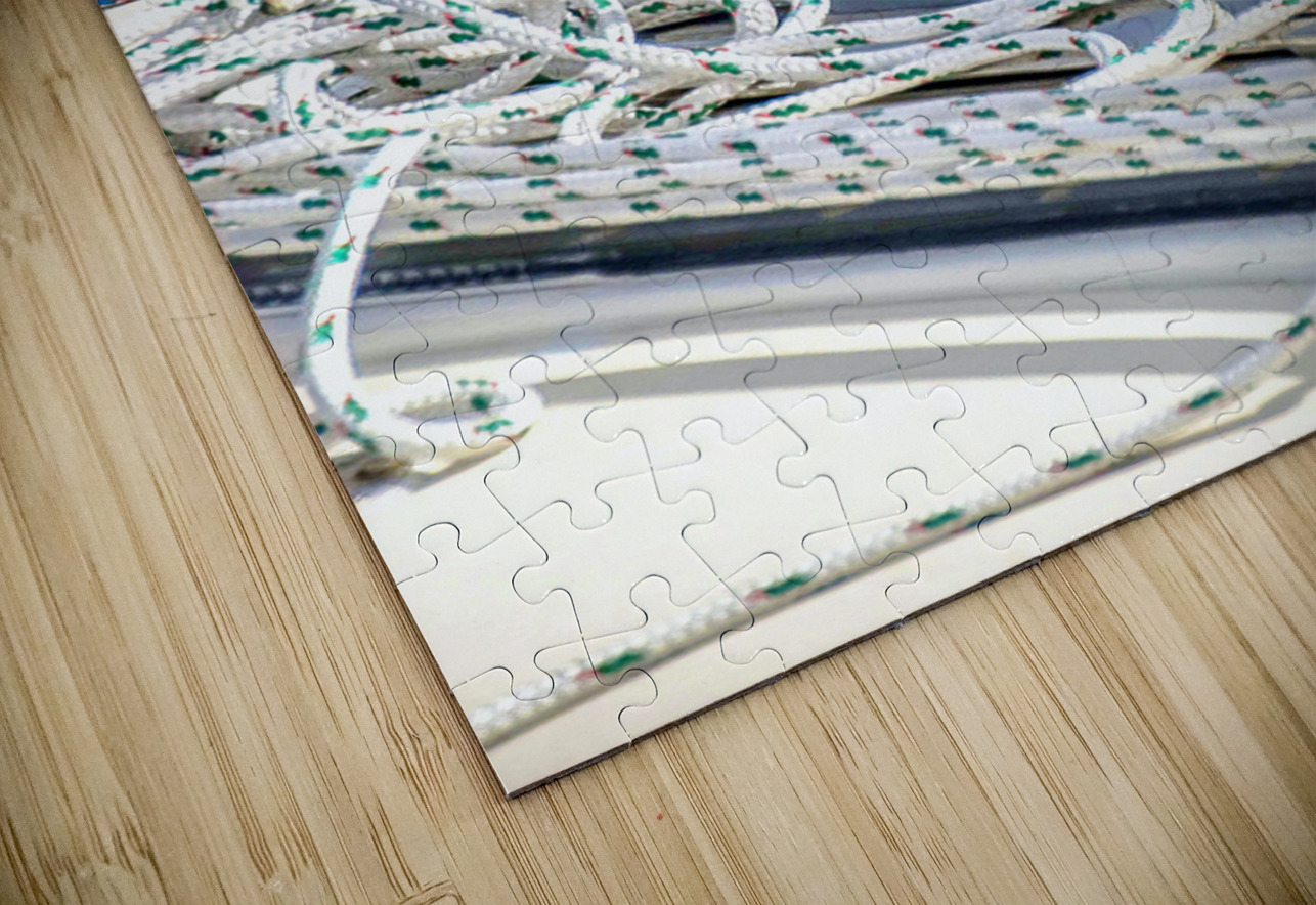  2042 1 Elizabeth Lima Images Puzzle