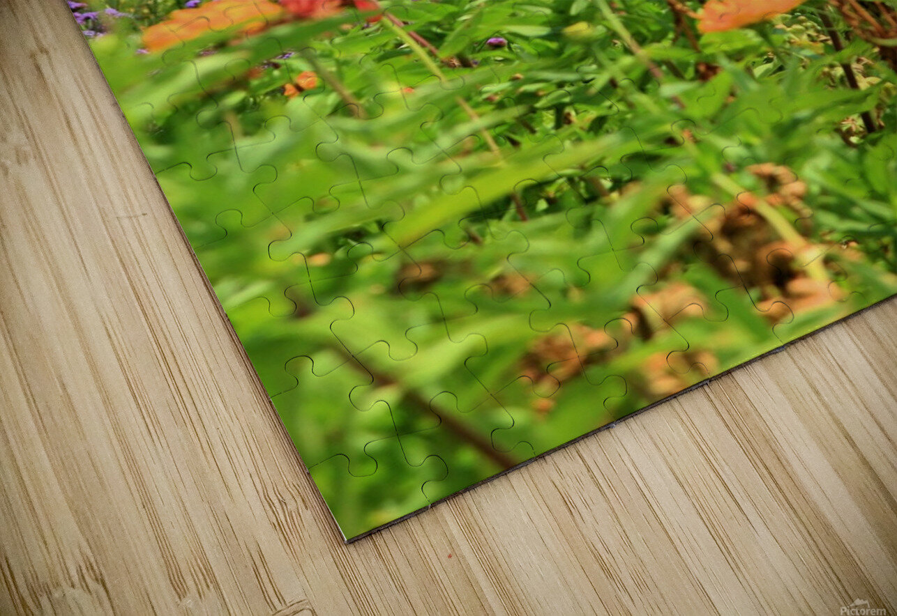 Sunflower Series 2 Bob McCulloch Puzzle