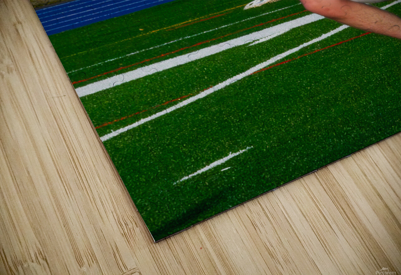 Potsdam Lacrosse Jerrid Lavoie Puzzle