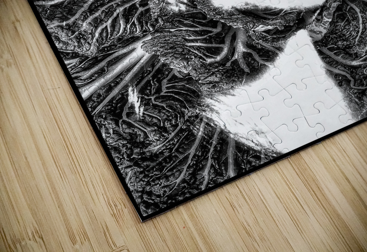 V1109 Natalie Stanislavsky Puzzle