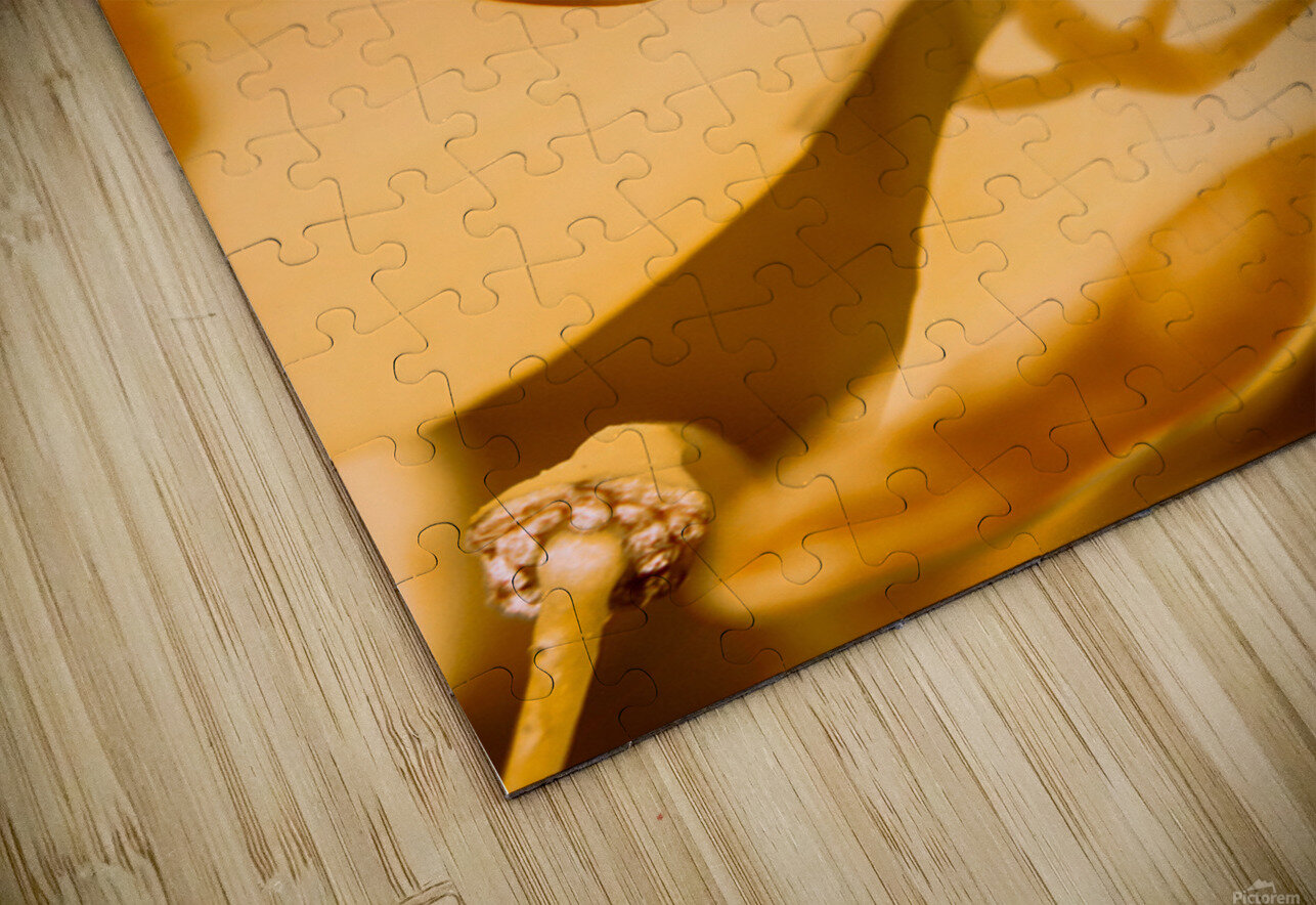 Wild orange Jorgo Puzzle