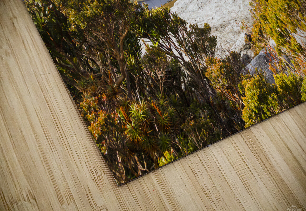 I can climb mountains Jorgo Puzzle