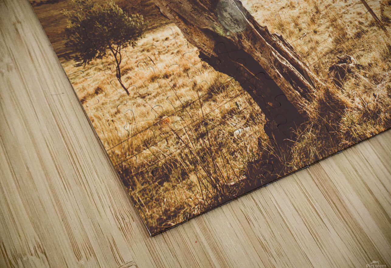 Cranbrook sunset Jorgo Puzzle