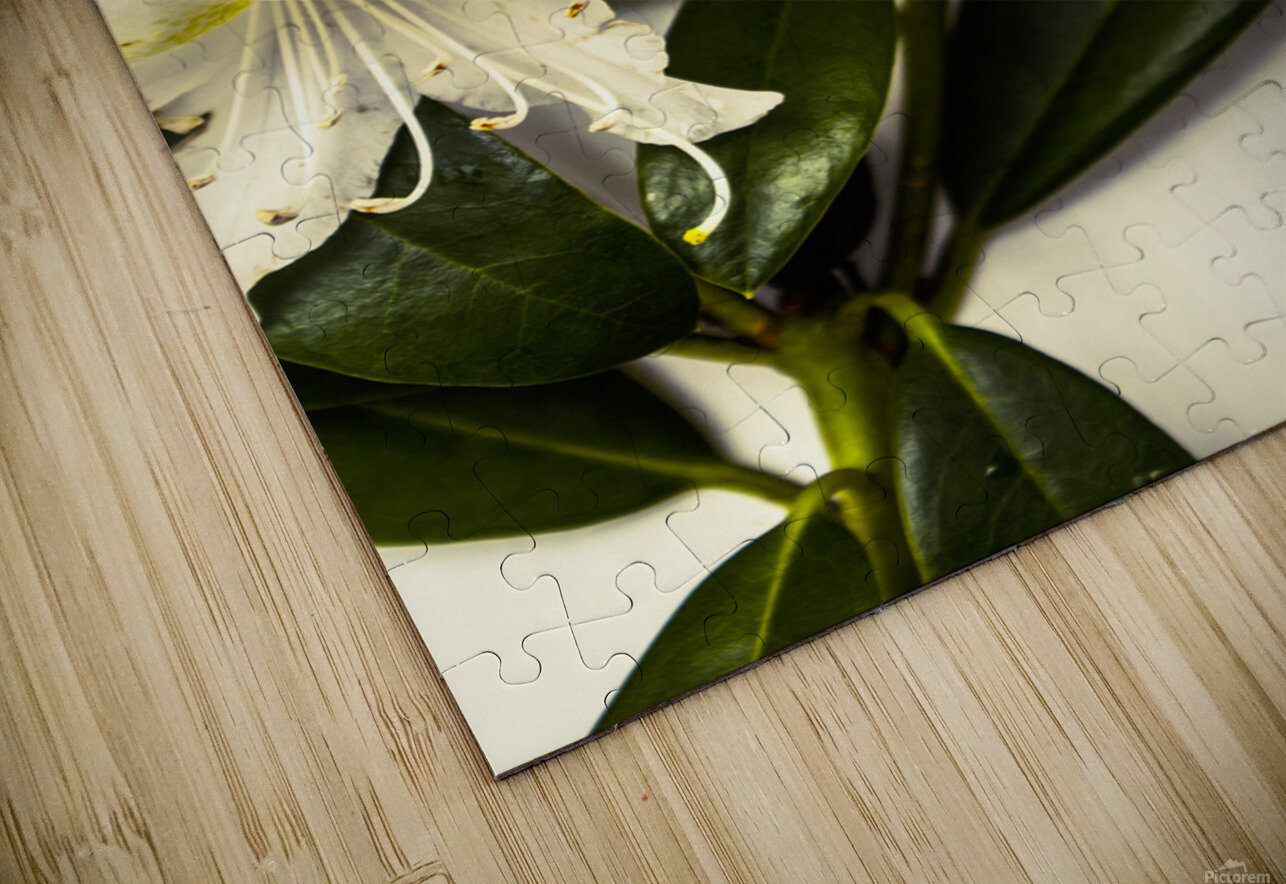 Japanese flower art Jorgo Puzzle