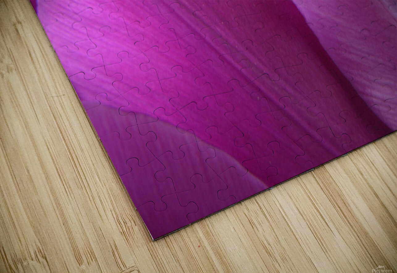 Purple Tulips Katherine Lindsey Photography Puzzle