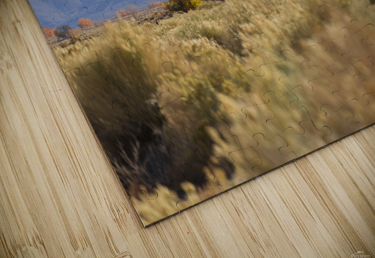 Olivier St-onge 8 Brodin Puzzle