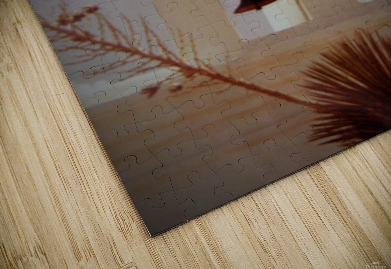 San Xavier Mission Katherine Lindsey Photography Puzzle