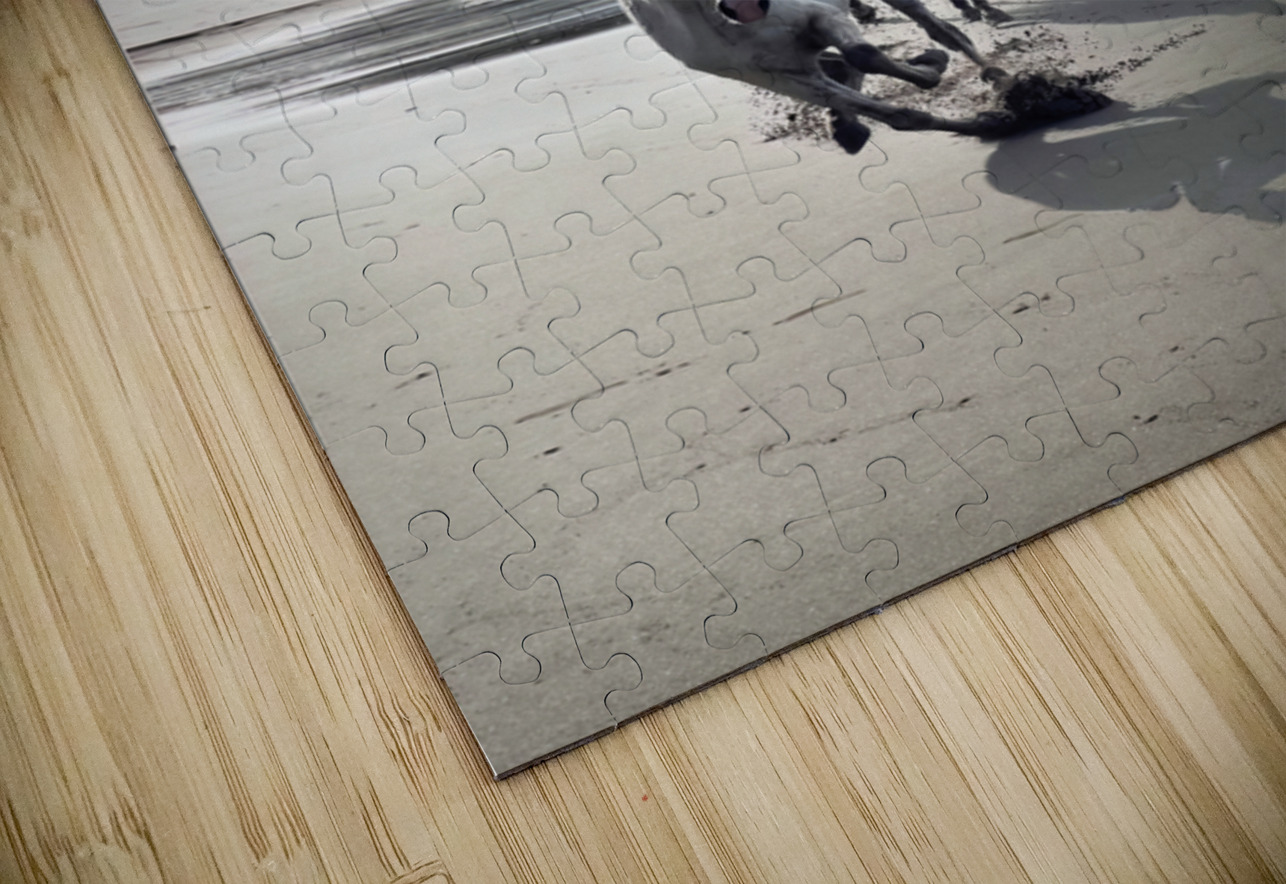 Enfin libre Jean Vachon Photographe Puzzle