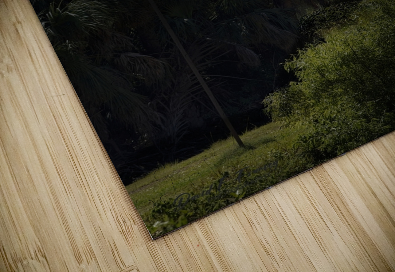 IMG 2542BatHouses David E Francey Photography Puzzle