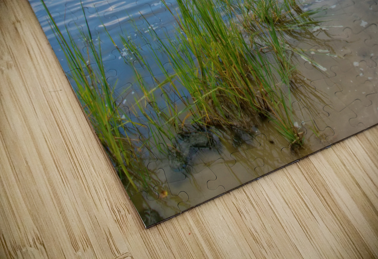 5 DSC 2161 1 Elizabeth Lima Images Puzzle