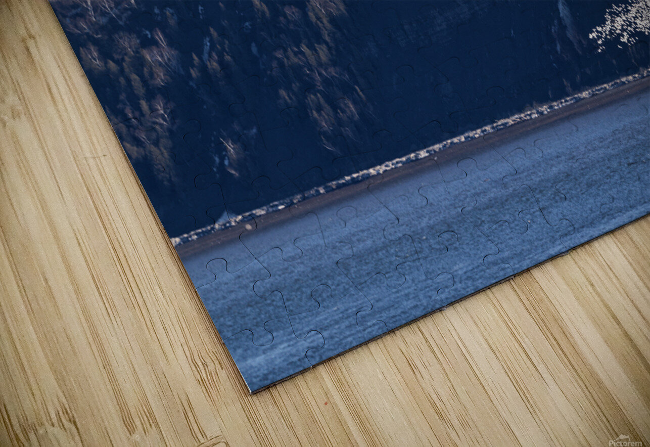 Oies blanches 1 Denis Baribault Puzzle