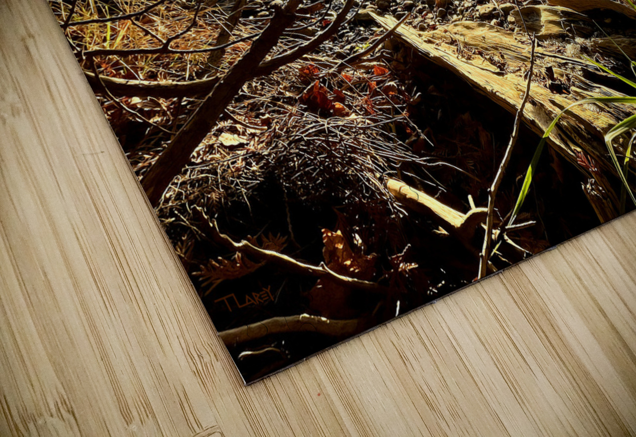 Peshawbestown 02  Timothy Larey Puzzle