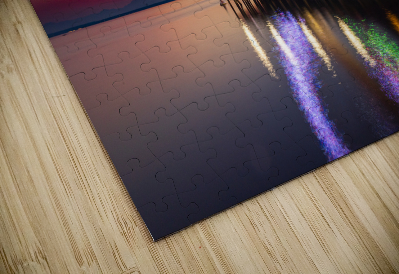 Seattle Great Wheel Tono Chavez Puzzle