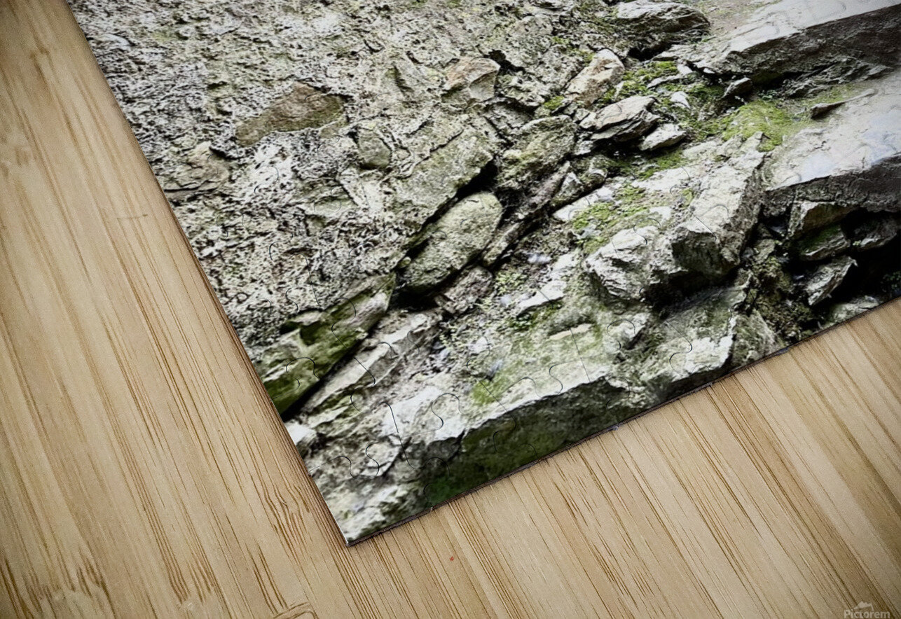 Blarney Castle Door Ireland JJones Arts Puzzle