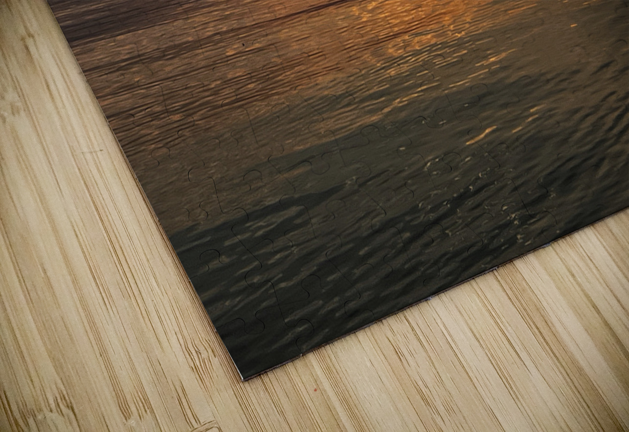 IMG 4612 Sheela Balcome Puzzle