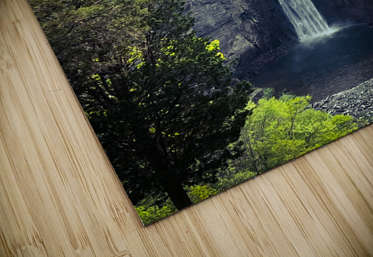 Taughannock Falls 2023 Sheela Balcome Puzzle