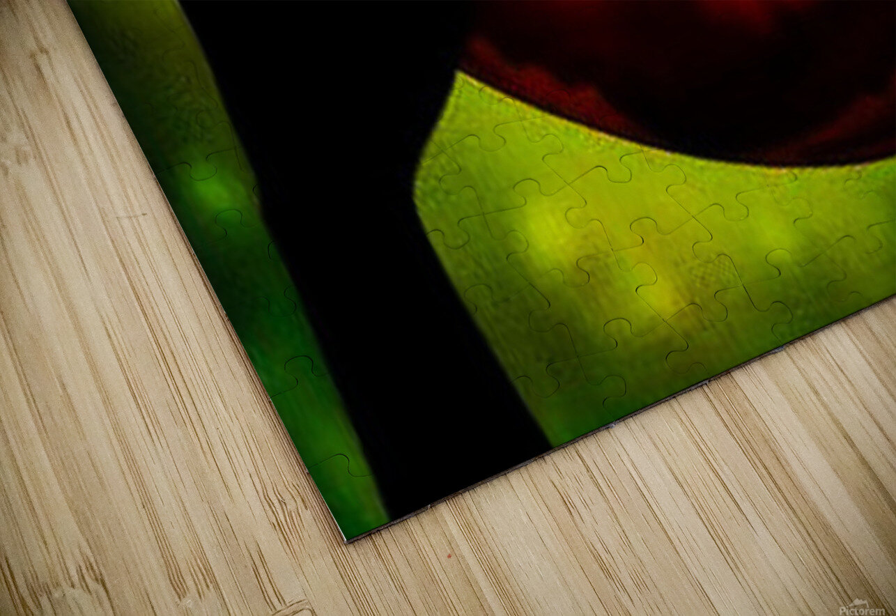 Dragon Egg Greta And Jade Fundraiser Puzzle