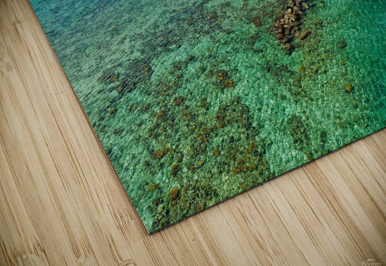 Crystal Reefway Rough Draft Gallery Puzzle