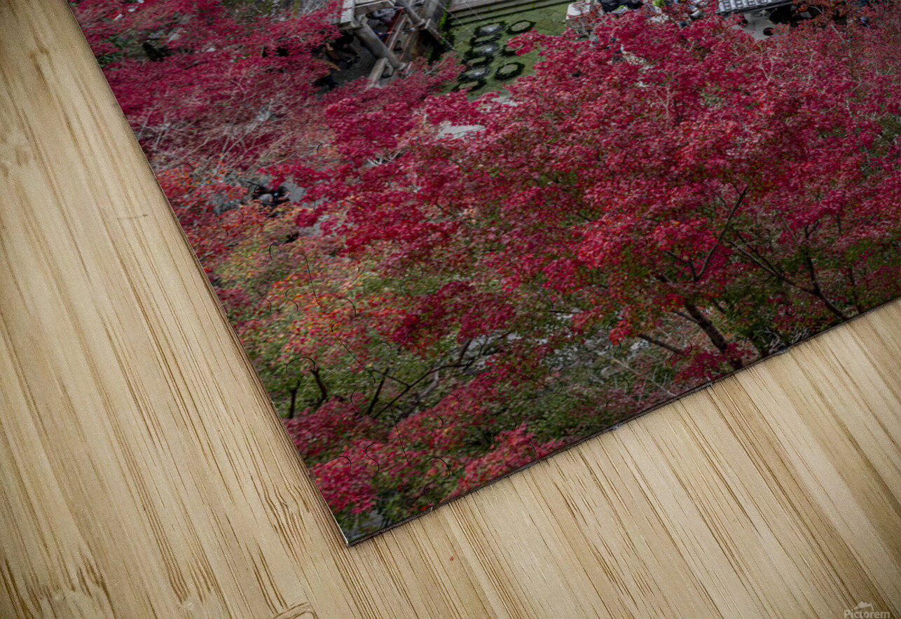 Top view of the kiyomizu dera temple spring Gualtiero Boffi Puzzle