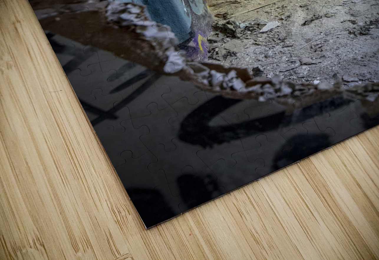 Interior of an abandoned and vandalised building Gualtiero Boffi Puzzle