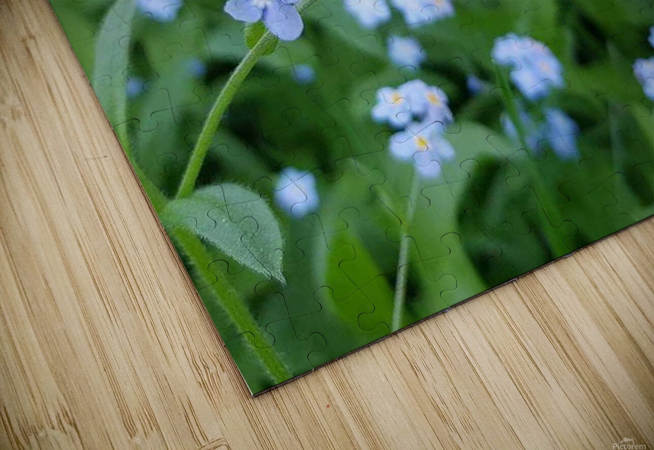 Forget Me Nots Arlette Hunnakko Puzzle