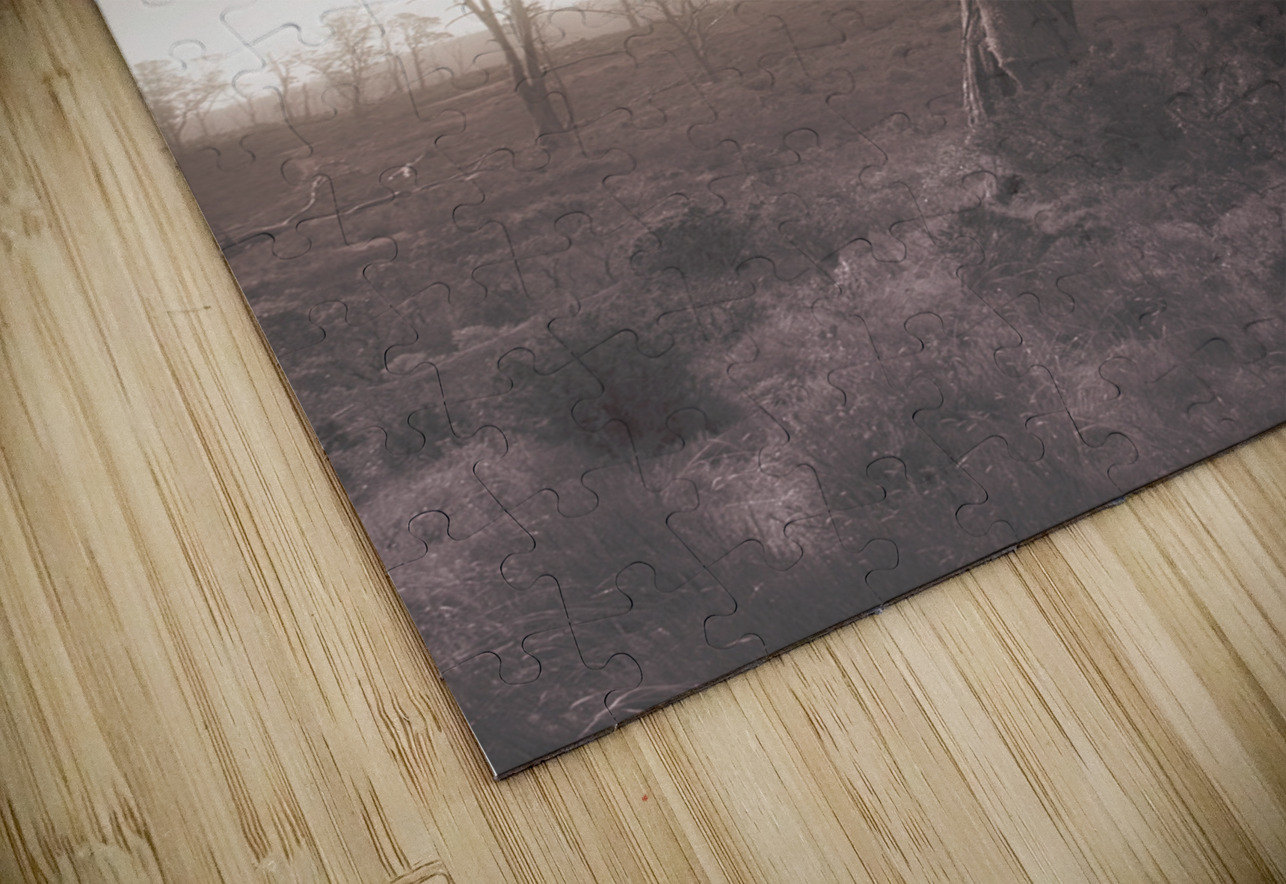 Mystery tree in a dark scary forest Jorgo Puzzle