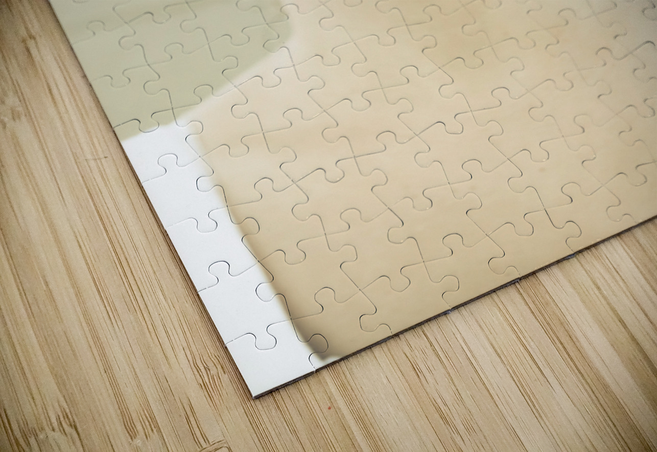 Inflation And Bust Jorgo Puzzle