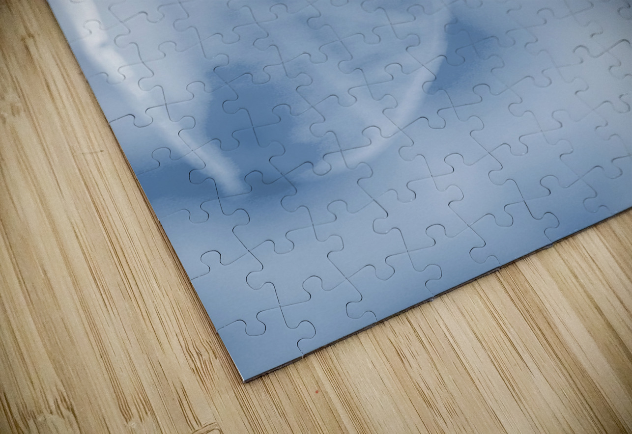 Blue spring Jorgo Puzzle