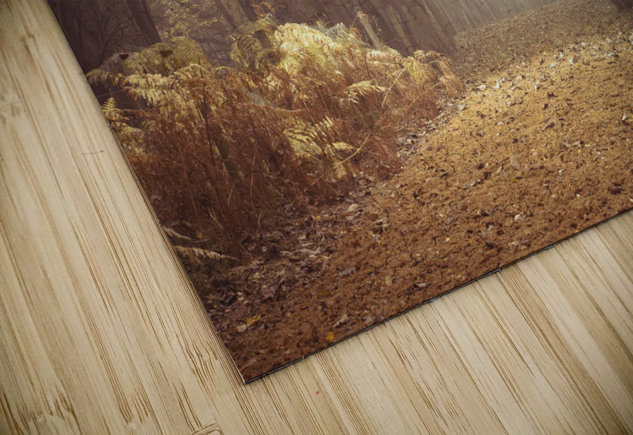 Forest Walkway Assaf Frank Puzzle