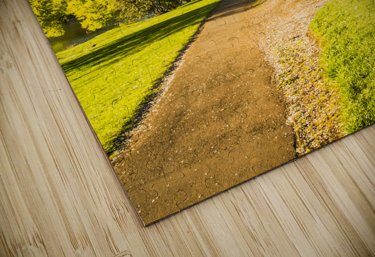 Cherry blossom lane Jorgo Puzzle