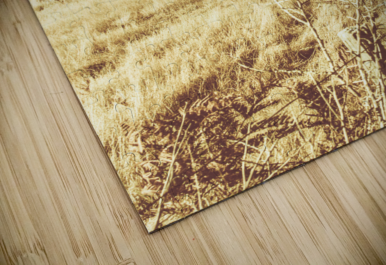 Rural farm ranch Jorgo Puzzle