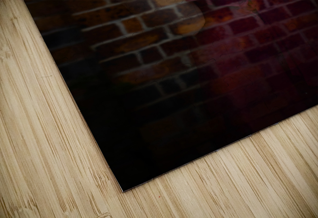 Spirit Of Mystery And Magic Jorgo Puzzle