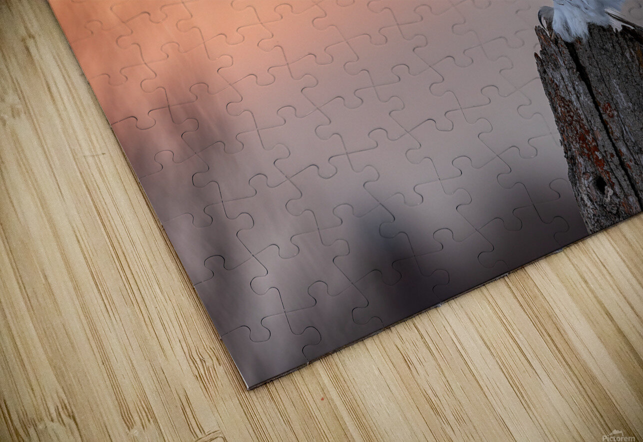 2B2A9584 Redha Yacoubi  Puzzle