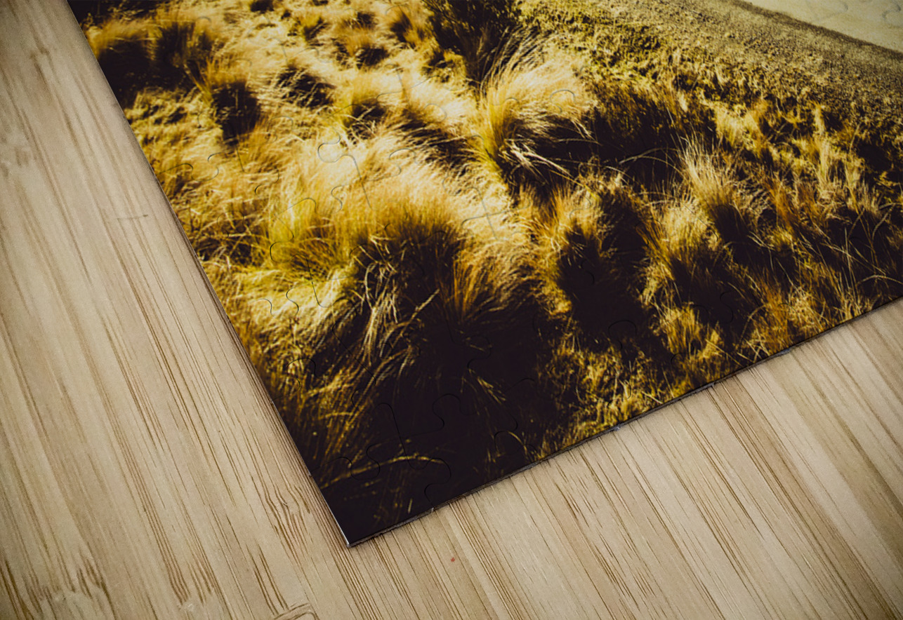 Tasmania travellers Jorgo Puzzle