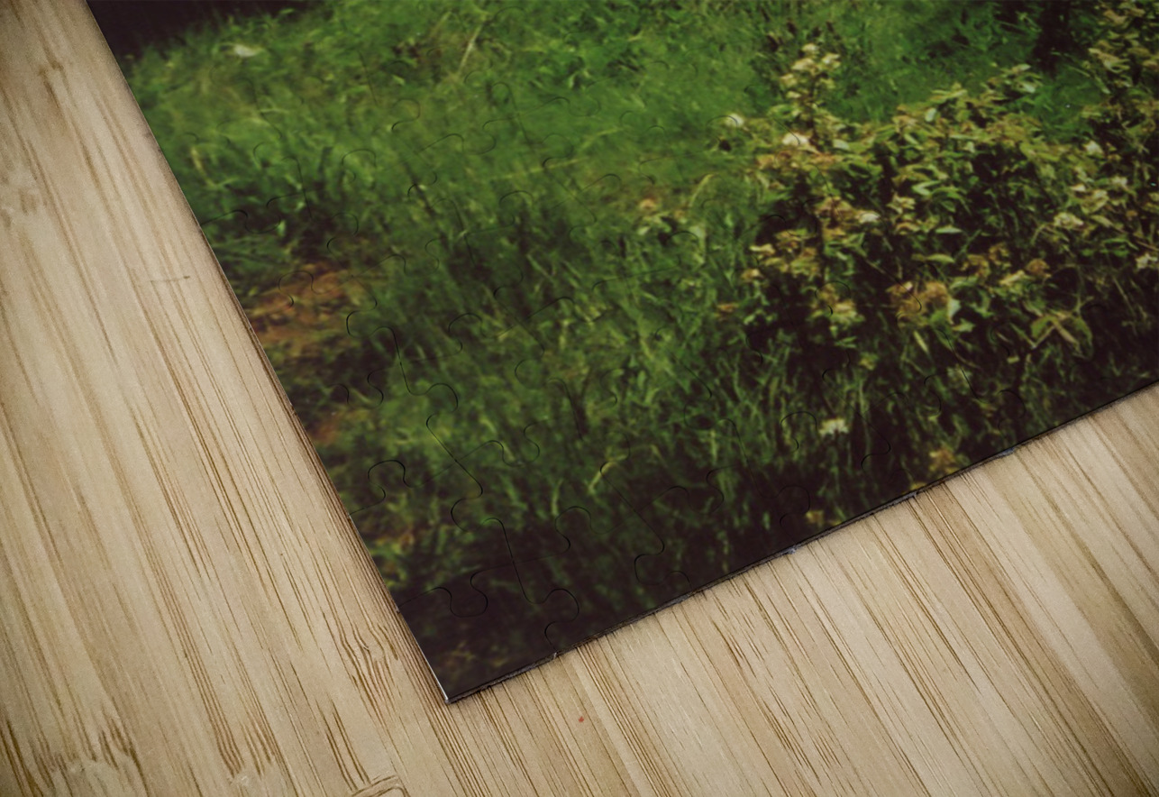 Owls Head Light v3.0 Palumbo Photography Puzzle