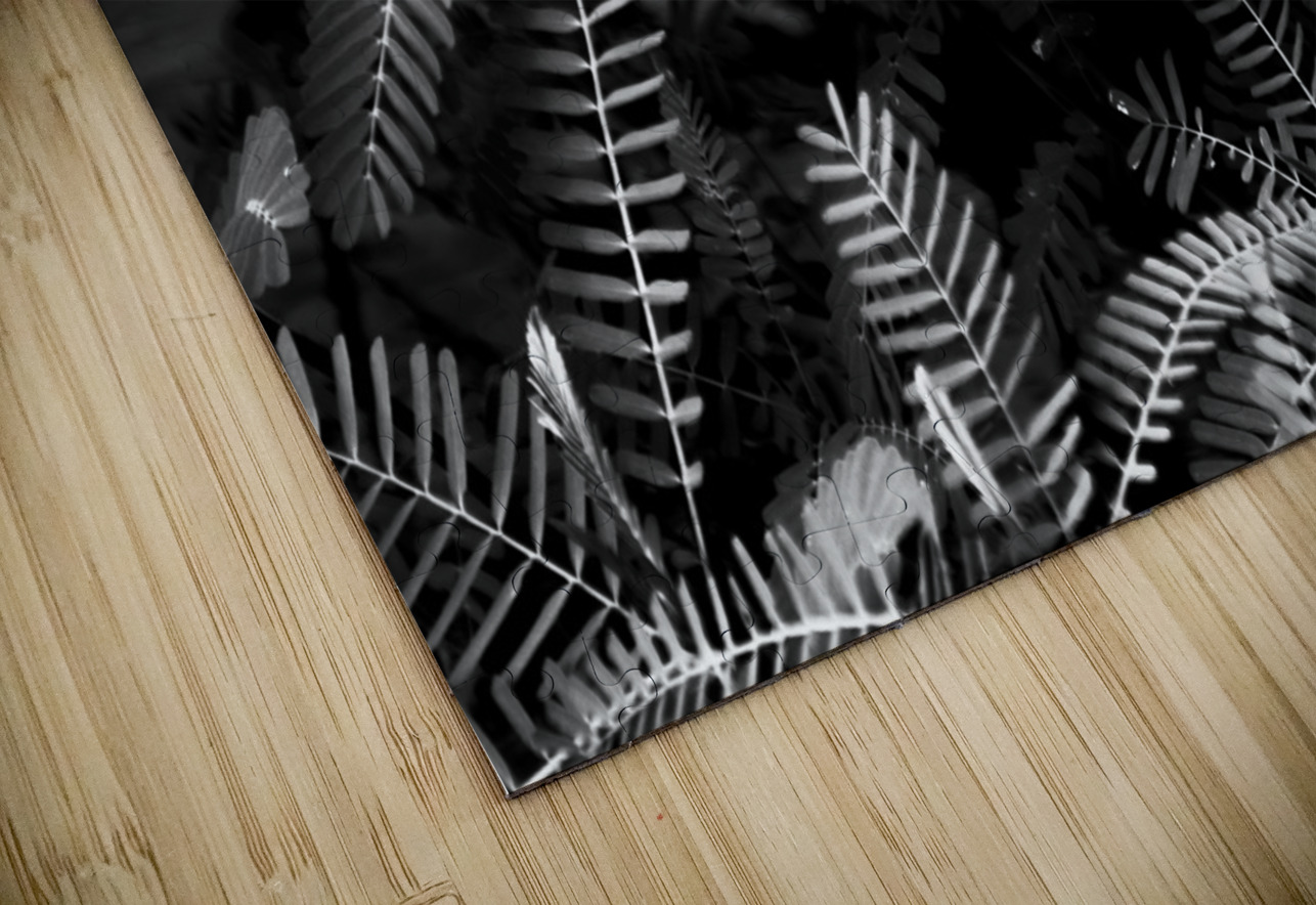 Ferns by the river Jorgo Puzzle