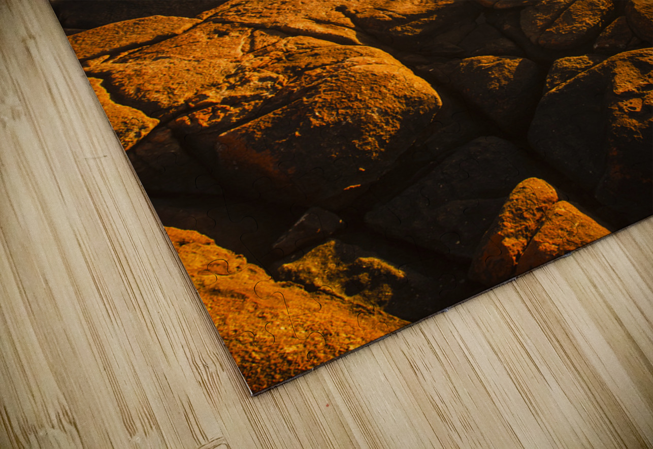 Golden Tasmania coastline Jorgo Puzzle