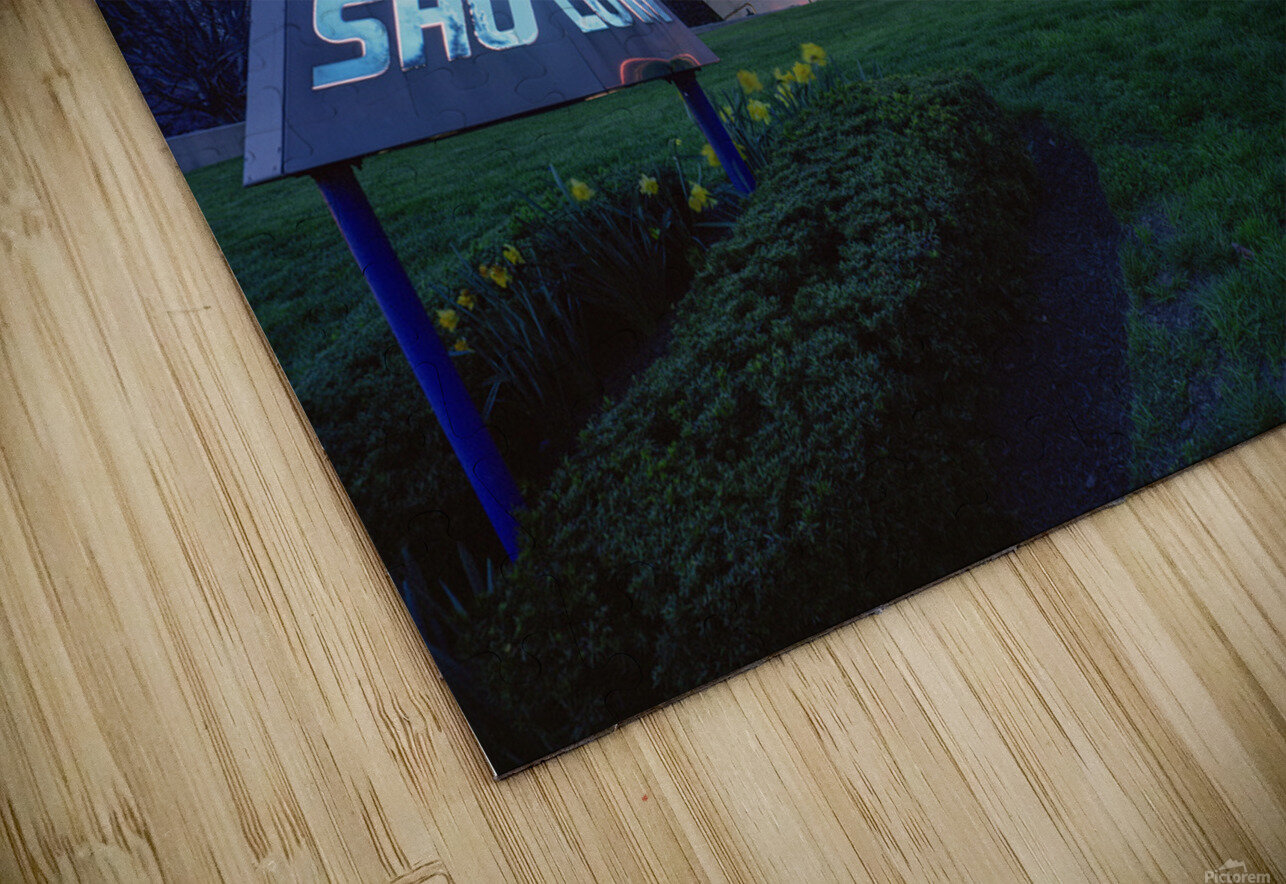 Beth Sholom Synagogue in Elkins Park PA Judaic Gallery Puzzle