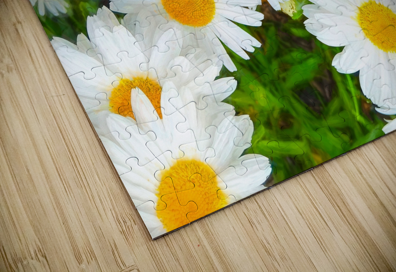 Shasta Daisies to Cheer You Up Thea Menagh Puzzle
