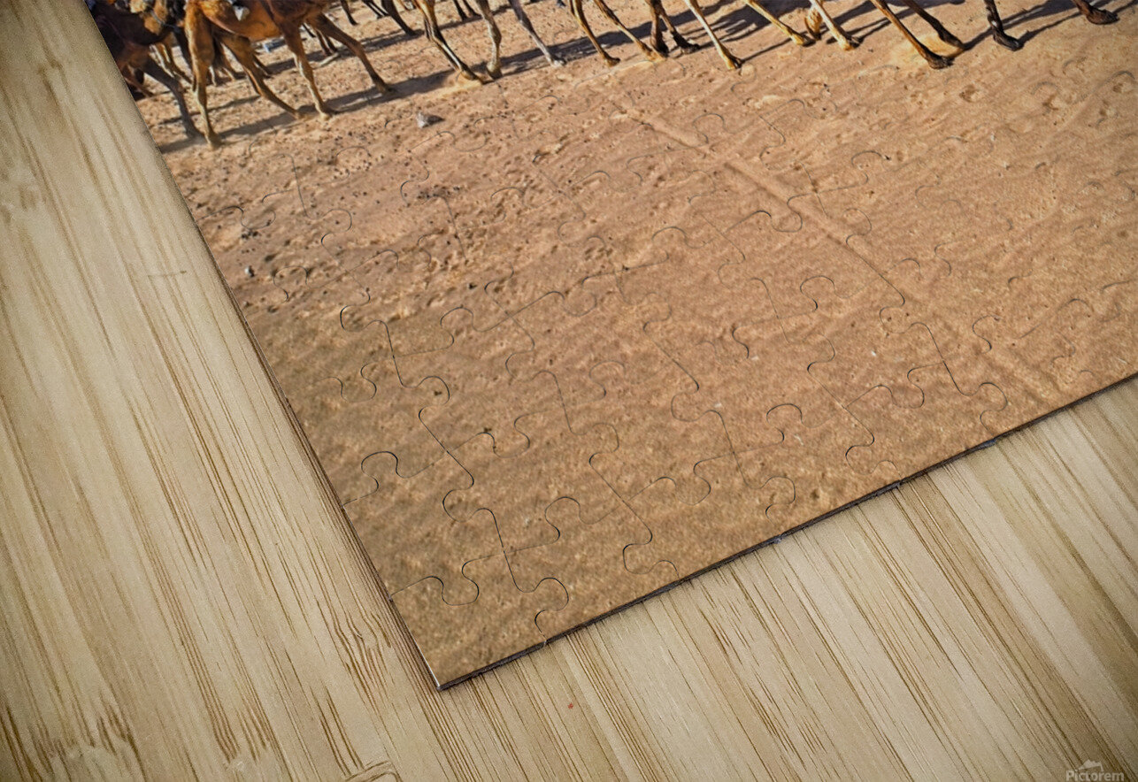 Camel caravan Sahara desert - Morocco Africa KarelStellnerPhoto Puzzle