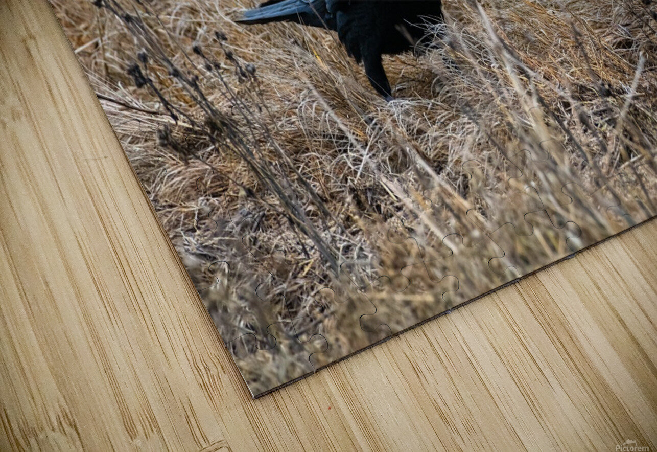 Have We Met  AngelaRae Photography Puzzle