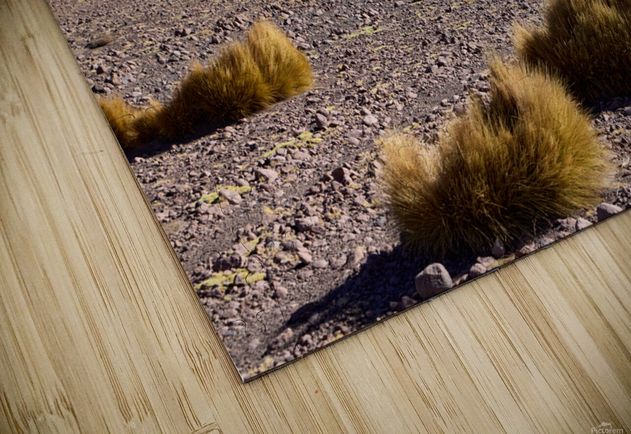 Bolivia Avaroa National Park 3 Artur Nyk Puzzle