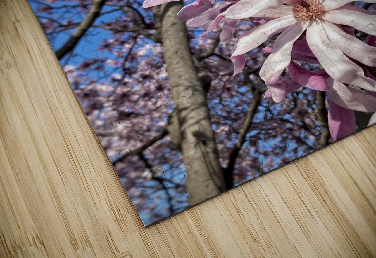 V1193 Natalie Stanislavsky Puzzle